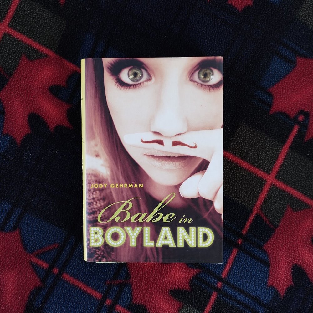 📚 3/$15 or 5/$20 📚 Novel - Babe in Boyland